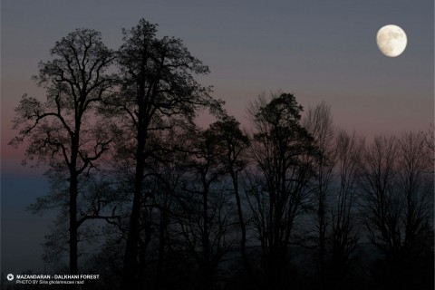 Featured image 1