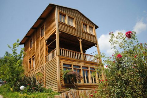 Featured image 1