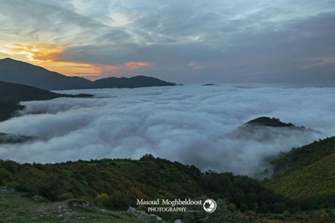 Featured image 1